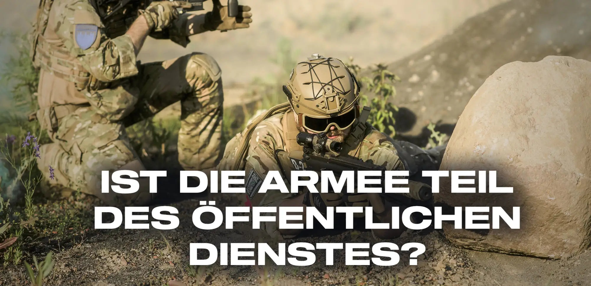 ist die armee teil des offentlichen dienstes