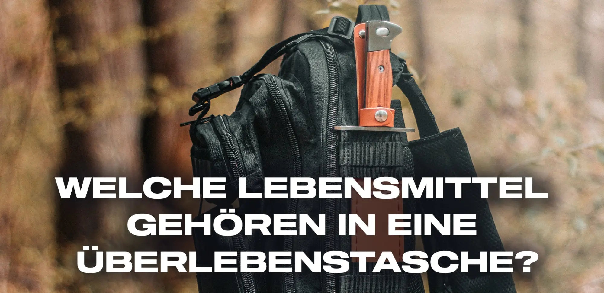 Welche Lebensmittel gehoren in eine Uberlebenstasche