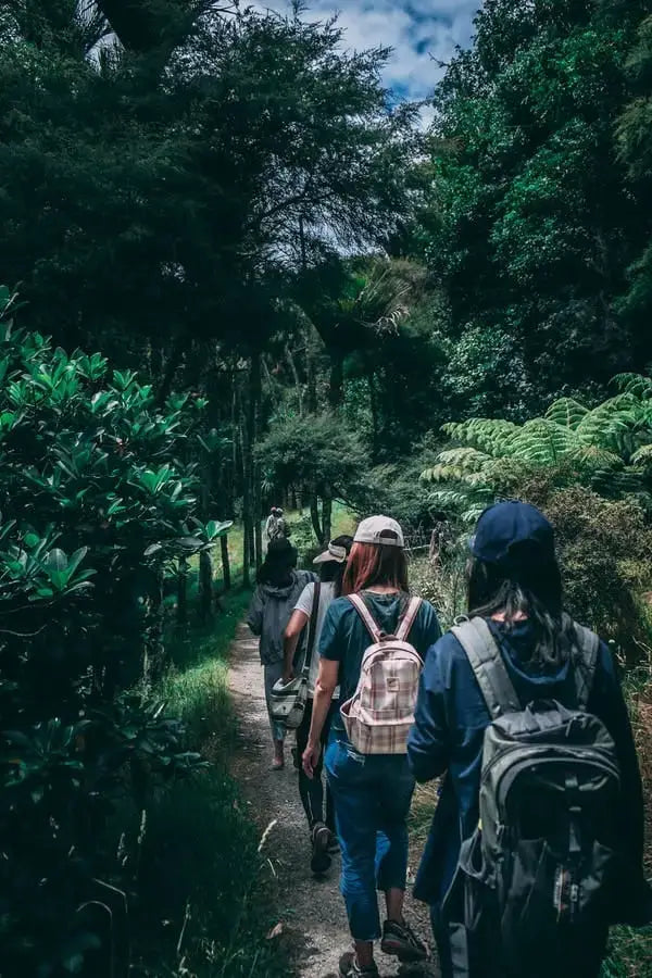 warum-zum-Wandern-gehen